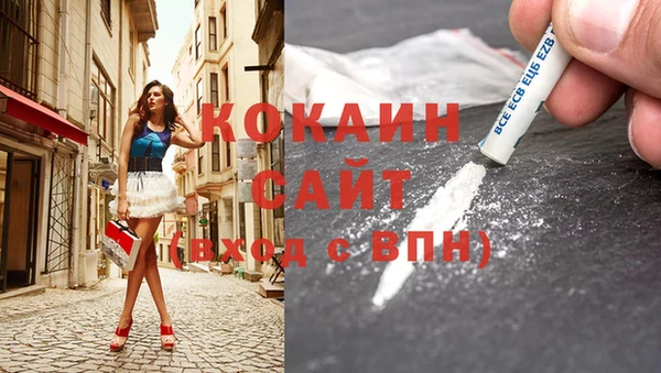 шишки Михайлов