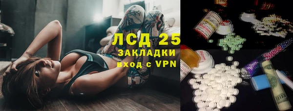 прущие грибы Михайловка