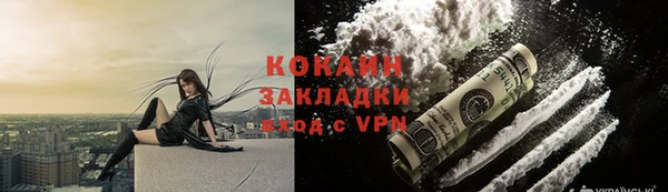 хмурый Михайловск