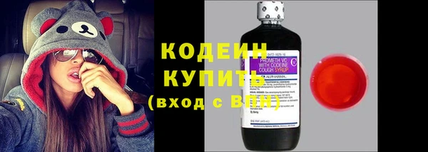 прущие грибы Михайловка