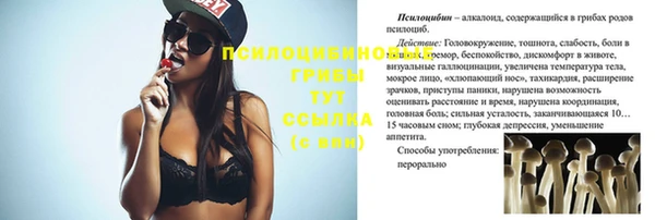 шишки Михайлов