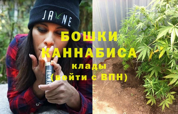 хмурый Михайловск