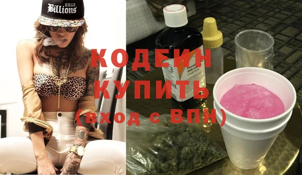 хмурый Михайловск