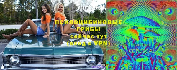 шишки Михайлов