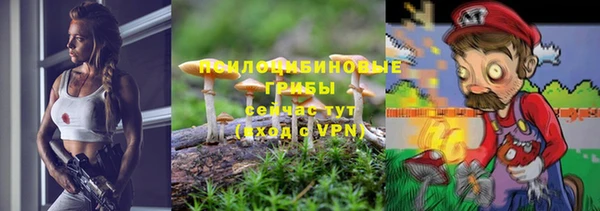 шишки Михайлов