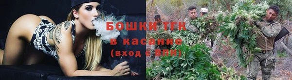 прущие грибы Михайловка