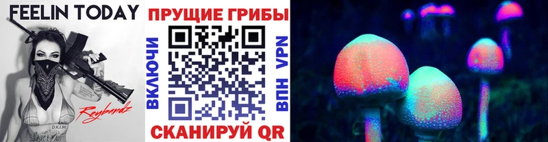 закладка Красноуфимск Псилоцибиновые грибы мухоморы