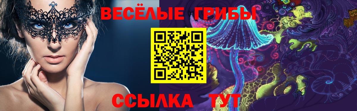 Псилоцибиновые грибы прущие грибы Красноуфимск